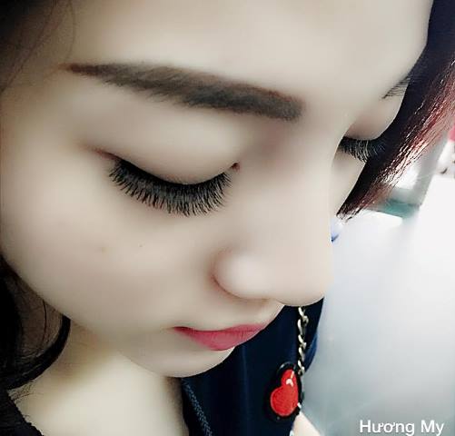 mi nối dành cho người nối mi chuyên nghiệp