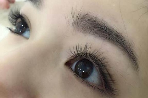 mi hàn quốc